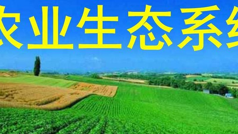山东农资冬储政策：助力农户应对冬季农业生产