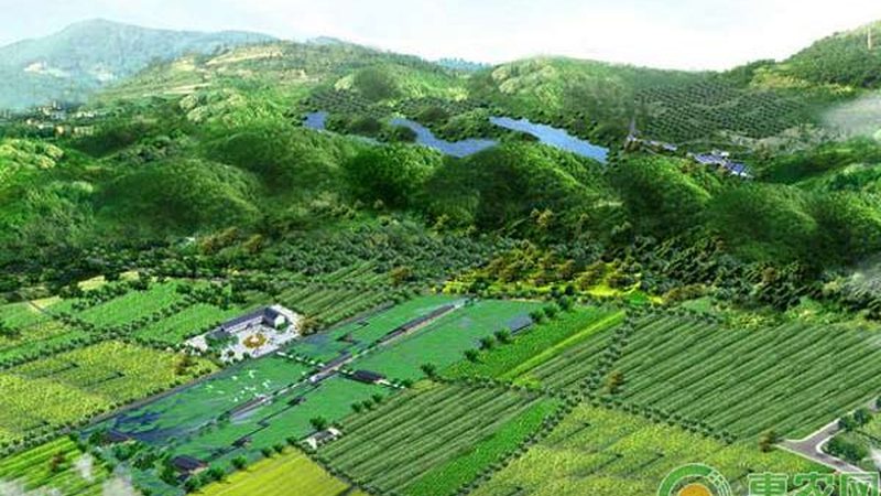 农产品批发展会如何报名参加：流程解析与注意事项**