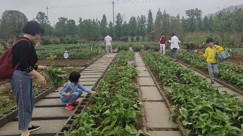 合作社财务管理的规范之路：制度范本解析