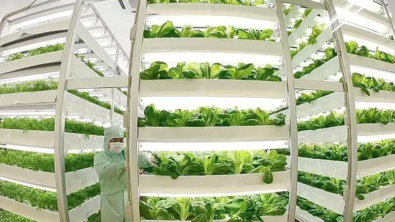智能温室大棚：农业现代化的关键设施