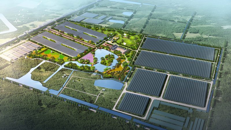 水果种植品牌价格报价单