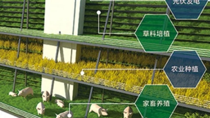 农资批发源头厂家拿货，这些技巧助你稳操胜券**