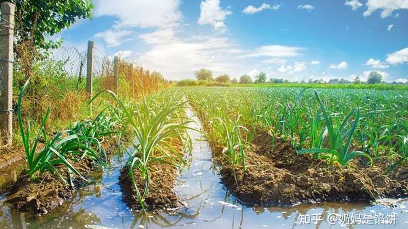 温室大棚骨架：规格与材质解析