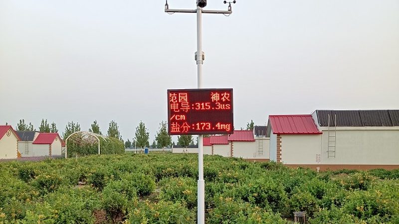 成都农产品厂家直供渠道：揭秘高效供应链**
