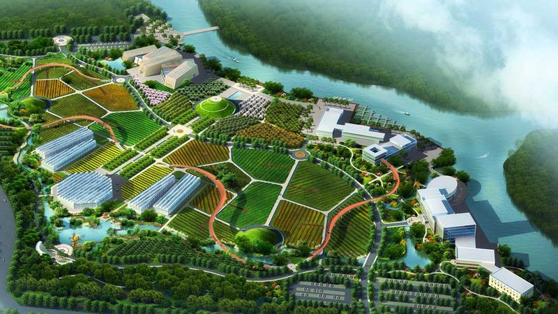 土地流转后，合作社应加强对土地的管理，防止土地撂荒。可采取以下措施：