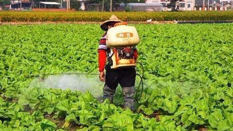 智慧农业园区灌溉系统：如何选择高效可靠的解决方案
