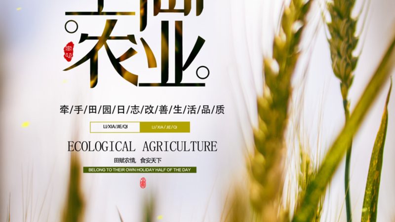 上海生鲜配送平台哪家好
