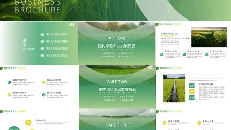 绿色食品选购，为儿童健康护航